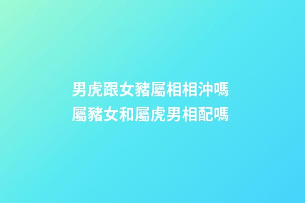 男虎跟女豬屬相相沖嗎 屬豬女和屬虎男相配嗎